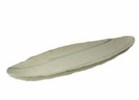 08.png